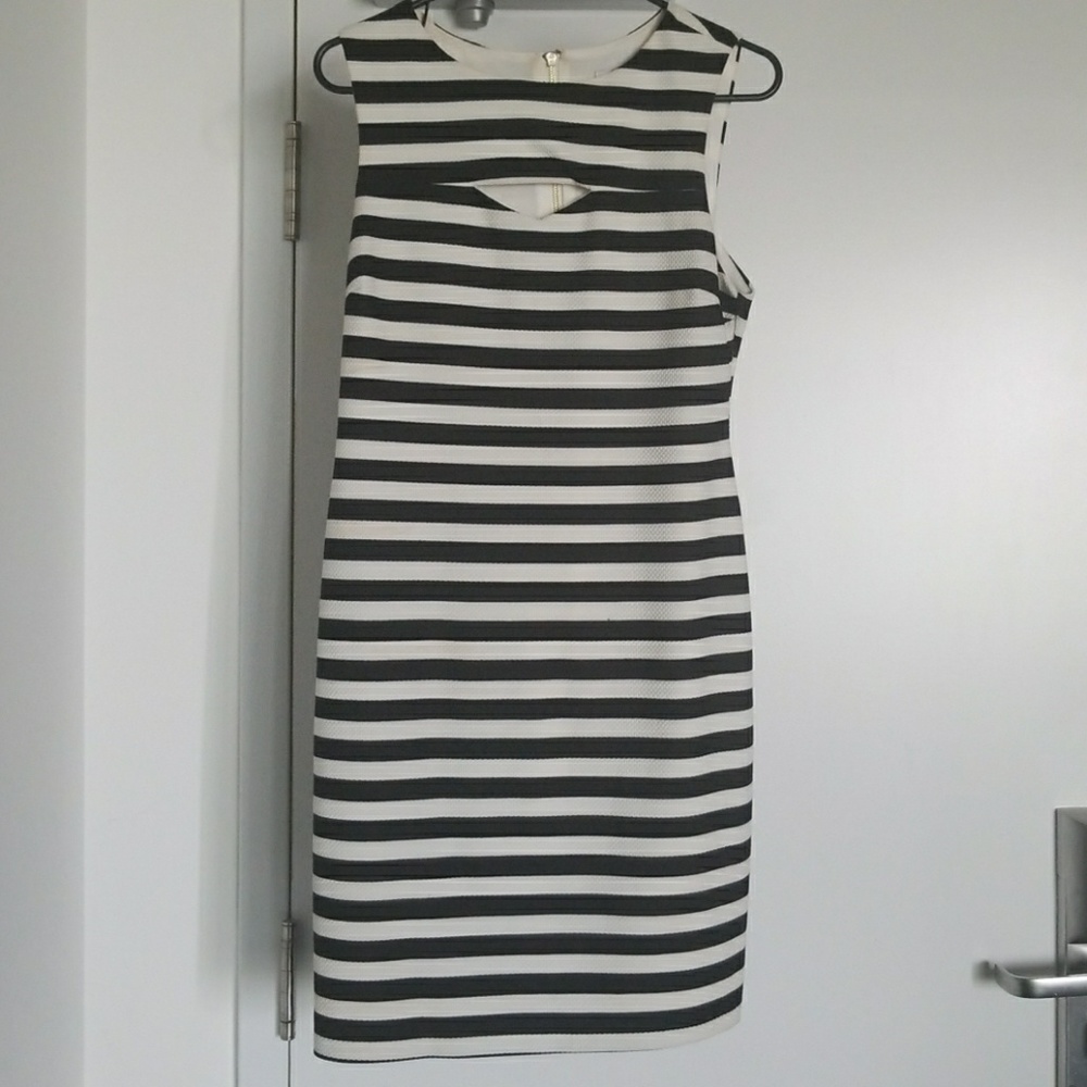 Black and White striped bodycon dress